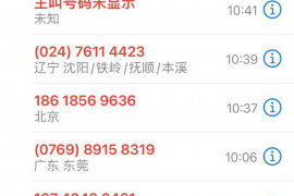 蒸湘如何避免债务纠纷？专业追讨公司教您应对之策